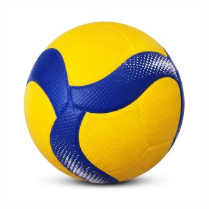 Custom Volleyball