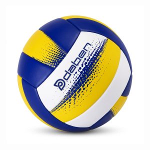 Custom Volleyball