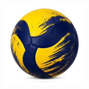 Custom Volleyball